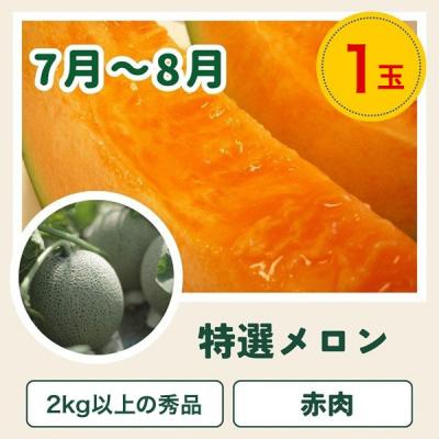 ふるさと納税 美瑛町 【令和9年産 先行予約】野菜 定期便 3回便 美瑛の四季〜百合(小)〜 |  | 02