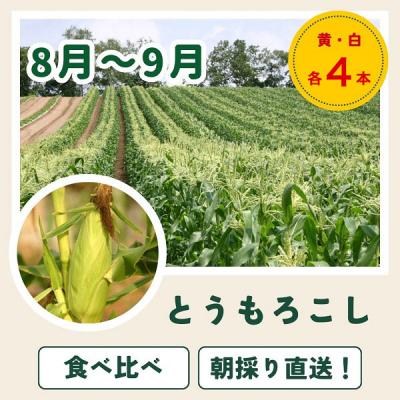 ふるさと納税 美瑛町 【令和9年産 先行予約】野菜 定期便 3回便 美瑛の四季〜百合(小)〜 |  | 03