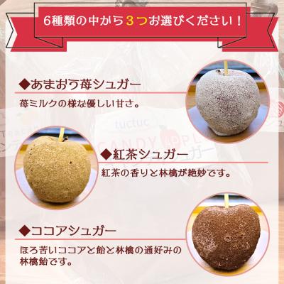 ふるさと納税 香南市 tuctuc りんご飴 6種類から選べる3本セット tt