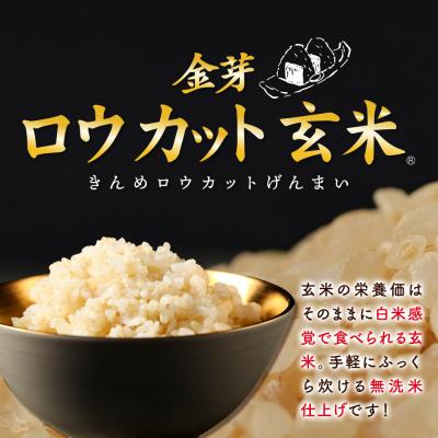 ふるさと納税 美郷町 【令和7年産 玄米】金芽ロウカット玄米 無洗米 サキホコレ 4kg|01_tyr-020401 |  | 03