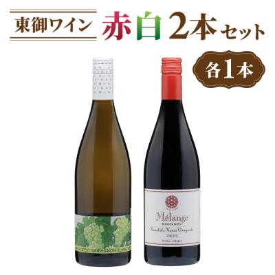 ふるさと納税 東御市 日本ワインコンクール金賞受賞!長野ワイン(赤白ワイン)飲み比べ 2本セット