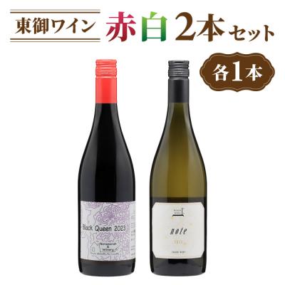 ふるさと納税 東御市 長野ワイン(赤白ワイン) 飲み比べ 2本セット|ブラッククイーン、note 2023