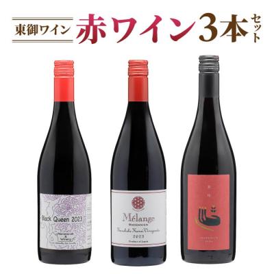 ふるさと納税 東御市 長野ワイン(赤ワイン) 飲み比べ 3本セット|ブラッククイーン、メランジュ ローダニアン 、茶柱