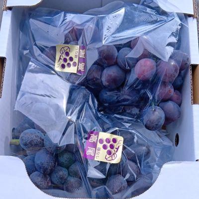 ふるさと納税 上山市 山形のぶどう(高尾)2〜4房 合計2kg ご家庭用