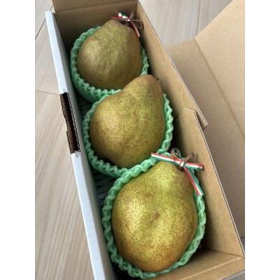 ふるさと納税 上山市 西洋梨(シルバーベル)大玉3玉 贈答用
