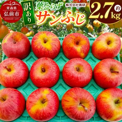 ふるさと納税 弘前市 りんご 葉とらずサンふじ[訳あり]約2.7kg スマートフレッシュ加工|24_sei-012701a