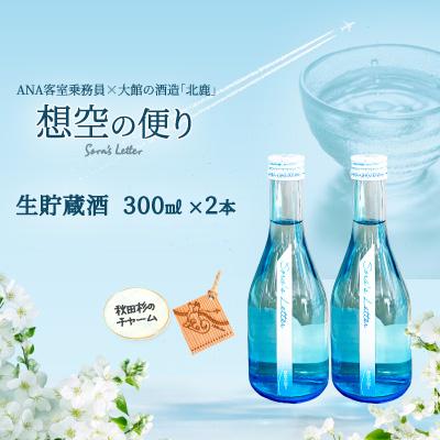 ふるさと納税 大館市 北鹿<想空の便り>生貯蔵酒 300ml×2本