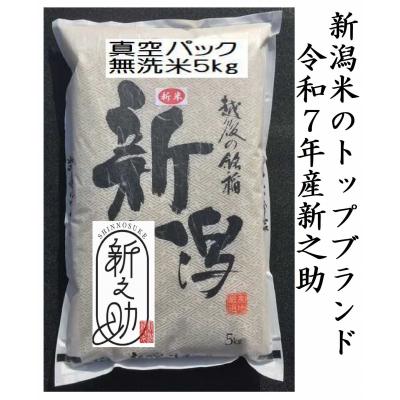 ふるさと納税 阿賀野市 [令和7年産][真空パック]整粒率95%の1等米!! 阿賀野市産「新之助」無洗米 5kg 中島農場
