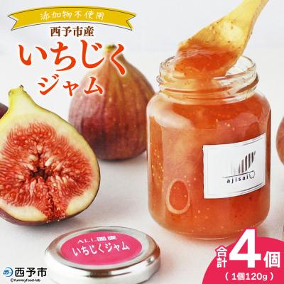 ふるさと納税 西予市 <いちじくジャム 120g×4個> ペクチン・添加物不使用 西予市産 国産 フルーツジャム 味彩