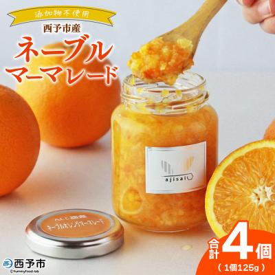 ふるさと納税 西予市 <ネーブルマーマレードジャム 125g×4個>株式会社味彩 愛媛県