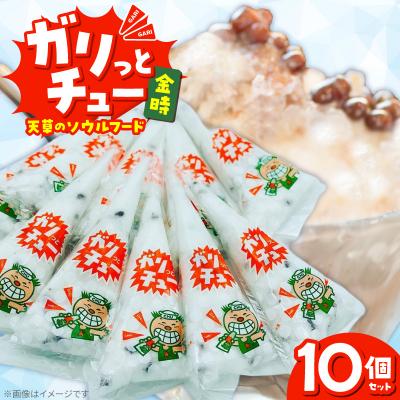 ふるさと納税 天草市 ガリっとチュー(金時 10個入り)