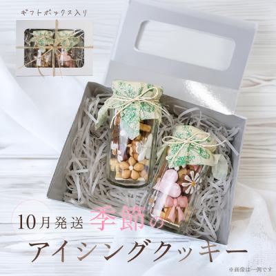 ふるさと納税 下呂市 [2026年10月発送]季節のアイシングクッキー (75〜80g×2セット)[116-9[10]]