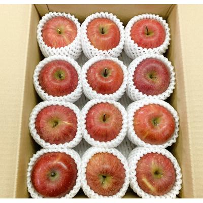 ふるさと納税 上山市 りんご(サンふじ)3kg 9〜13個 秀品・ご家庭用混合