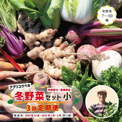 ふるさと納税 四万十市 [3回定期便・早期・数量限定]アグリユウベの冬野菜セット(小)[配送:R8年12月・R9年1月2月]