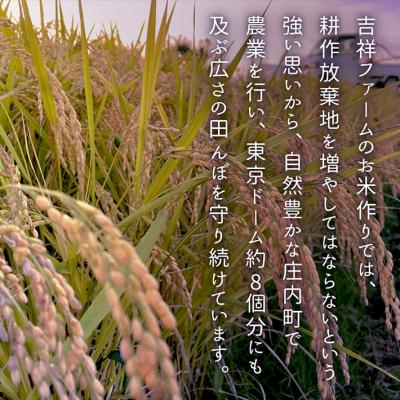 ふるさと納税 庄内町 【6か月定期便!】庄内米 吉祥ファーム つや姫 2kg<5月中旬発送>ブランド米 米 お米の定期便の画像