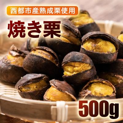 ふるさと納税 西都市 低温熟成栗使用!焼き栗 2パック 合計500g[2326]