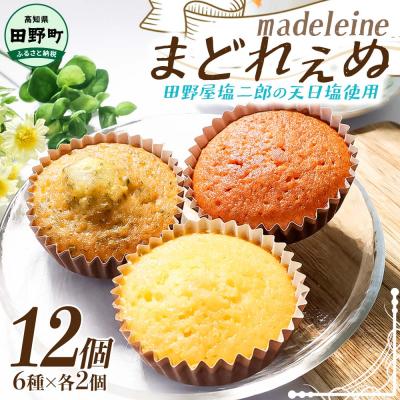 ふるさと納税 田野町 まどれぇぬ マドレーヌ 12個入り(6種×各2個) 田野屋塩二郎の天日塩使用