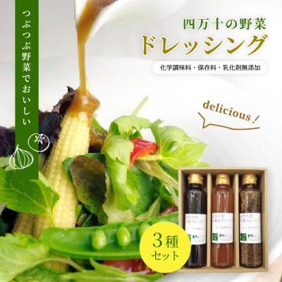 ふるさと納税 四万十市 つぶつぶ野菜でおいしい四万十の野菜ドレッシング 3種 セット