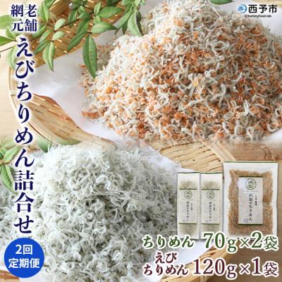 ふるさと納税 西予市 <2回定期便 老舗網元 えびちりめん詰め合わせ(合計 約260g×2)>