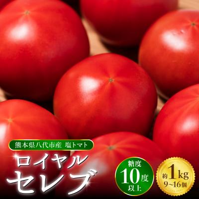 ふるさと納税 八代市 先行予約くまもと塩トマト ロイヤルセレブ約1kg 2027年1月上旬より順次発送026-2904-D | 