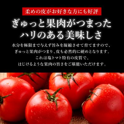 ふるさと納税 八代市 先行予約くまもと塩トマト ロイヤルセレブ約1kg 2027年1月上旬より順次発送026-2904-D |  | 01
