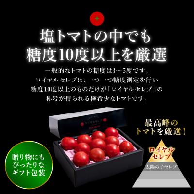 ふるさと納税 八代市 先行予約くまもと塩トマト ロイヤルセレブ約1kg 2027年1月上旬より順次発送026-2904-D |  | 02