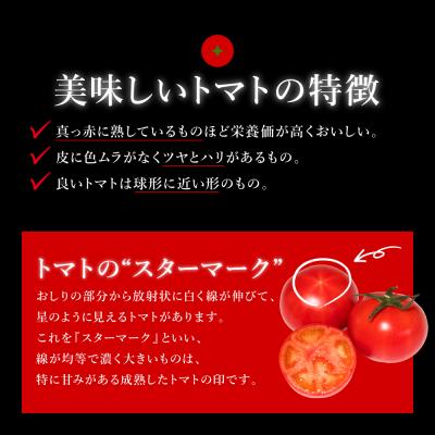 ふるさと納税 八代市 先行予約くまもと塩トマト ロイヤルセレブ約1kg 2027年1月上旬より順次発送026-2904-D |  | 03