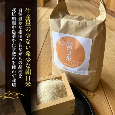 ふるさと納税 赤磐市 先行受付 農薬不使用 無洗米 ホタル舞う里山の棚田米精米10kg令和8年産[NO5765-1511]の画像