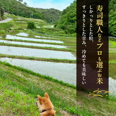 ふるさと納税 赤磐市 先行受付 農薬不使用 無洗米 ホタル舞う里山の棚田米精米10kg令和8年産[NO5765-1511]の画像