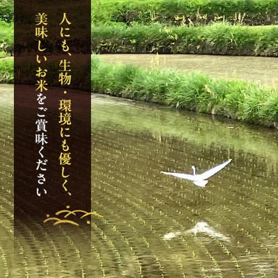 ふるさと納税 赤磐市 先行受付 農薬不使用 無洗米 ホタル舞う里山の棚田米精米10kg令和8年産[NO5765-1511]の画像
