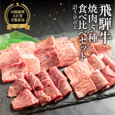 ふるさと納税 下呂市 飛騨牛 焼肉 5種 食べ比べセット(各100g)計500g [22-53]