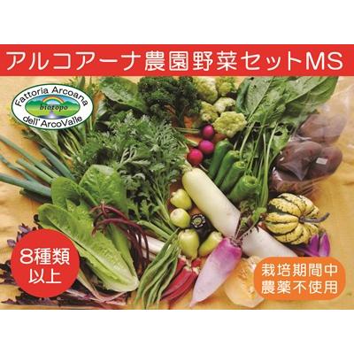 ふるさと納税 上山市 [2026年7月〜発送]アルコアーナ農園野菜セット MSサイズ
