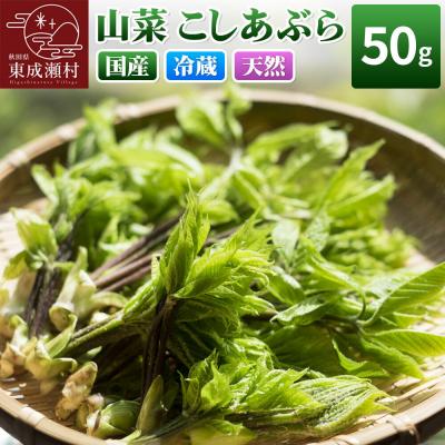 ふるさと納税 東成瀬村 山菜 こしあぶら 50g 秋田県 東成瀬村産 TAKAYA|07_tky-170501