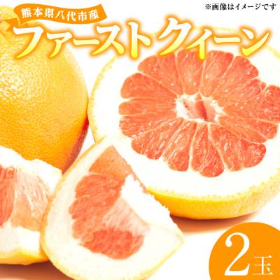 ふるさと納税 八代市 [先行予約]ファーストクイーン 2玉 [2026年10月下旬より順次発送]_001-4033-E