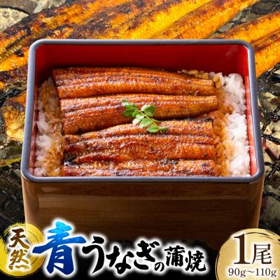 ふるさと納税 八代市 熊本県 八代市産 天然青うなぎの蒲焼 蒲焼セット 1尾(90g〜110g)
