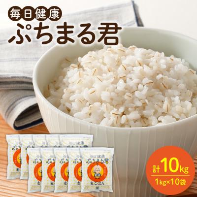 ふるさと納税 八代市 麦ごはん ぷちまる君 10kg 1kg×10袋 熊本県産大麦100% 小分け
