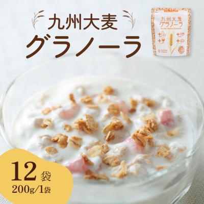 ふるさと納税 八代市 九州 大麦 グラノーラ 200g×12袋 国産
