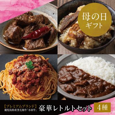 ふるさと納税 南さつま市 [母の日ギフト]「小田牛」レトルト4種セット(カレー・パスタ・牛とろ煮込み・混ぜご飯の素)
