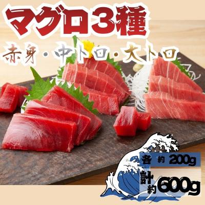 ふるさと納税 深浦町 本マグロ 3種 赤身 中トロ 大トロ 各1柵 国産 本鮪