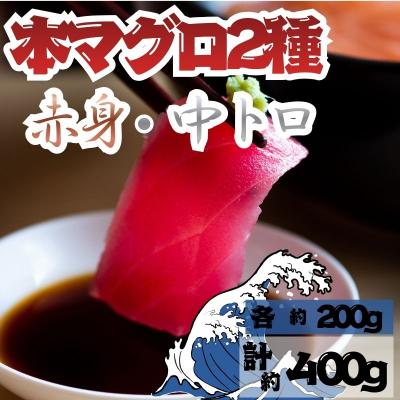 ふるさと納税 深浦町 本マグロ 赤身 中トロ 各1柵 セット 国産 本鮪