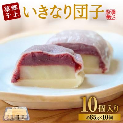 ふるさと納税 八代市 いきなり団子10個詰 団子 紅はるか さつまいも