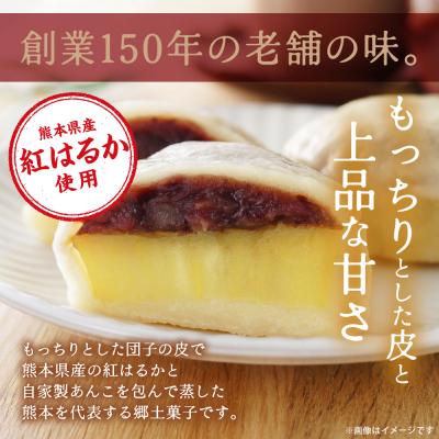 ふるさと納税 八代市 いきなり団子10個詰 団子 紅はるか さつまいも_017-6737 |  | 01