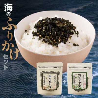 ふるさと納税 国東市 ごはんが進む!海のふりかけ 2袋(わかめ1・ひじき1) 半生 ソフトタイプ_2515R-2 | 
