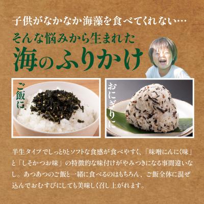 ふるさと納税 国東市 ごはんが進む!海のふりかけ 2袋(わかめ1・ひじき1) 半生 ソフトタイプ_2515R-2 |  | 02