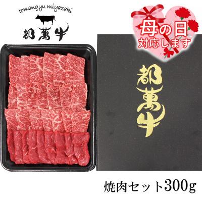 ふるさと納税 西都市 [母の日ギフト][都萬牛]黒毛和牛焼肉セット 300g宮崎県産黒毛和牛[3167]