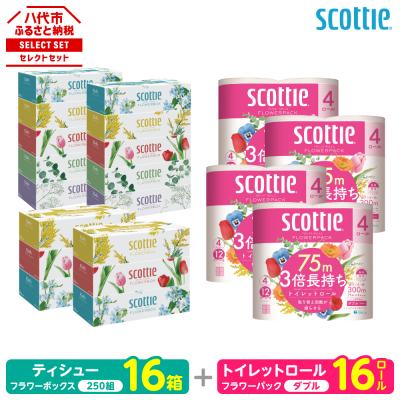 ふるさと納税 八代市 ティッシュ 250組 16箱 +トイレットペーパー ダブル 16ロール スコッティ