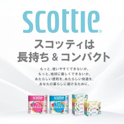ふるさと納税 八代市 ティッシュ 250組 16箱 +トイレットペーパー ダブル 16ロール スコッティ_186-6555 |  | 01