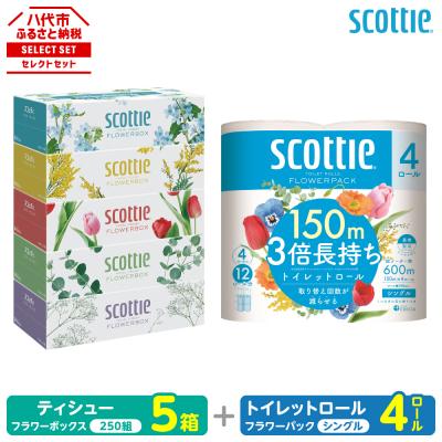 ふるさと納税 八代市 スコッティ ティシュー 250組 5箱 トイレットロール シングル 4ロール