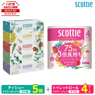 ふるさと納税 八代市 スコッティ ティシュー 250組 5箱 トイレットロール ダブル 4ロール