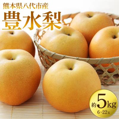 ふるさと納税 八代市 [先行予約]豊水梨 約5kg(6〜22玉)[2026年8月中旬より順次発送]_171-3101-D